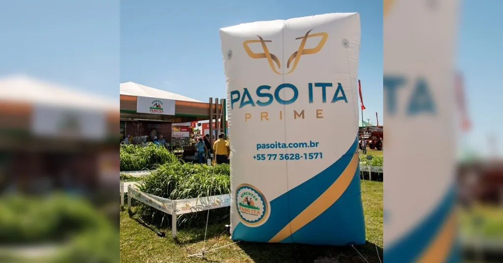 Conheça ações simples e de grande impacto para promover produtos no varejo