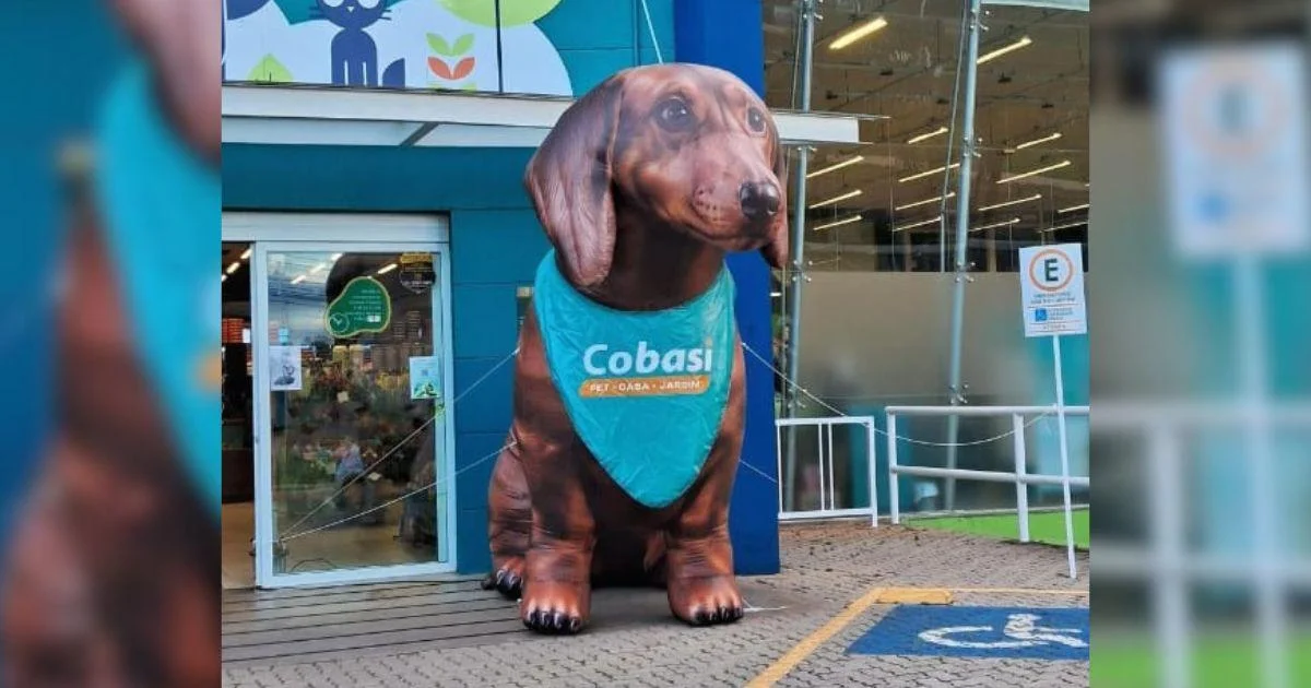 inflável personalizado