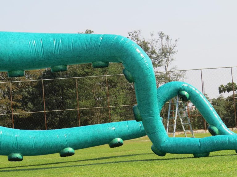 Polvo inflável gigante