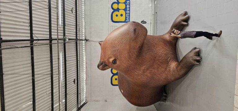 Balões gigantes